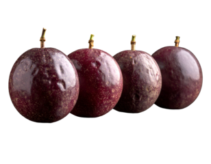 Four dark purple, round fruits with stems, set on a dark background