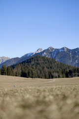 Blick ins Karwendelgebirge