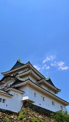青空と春の和歌山城天守閣