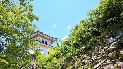 青空と新緑に映える和歌山城の風景