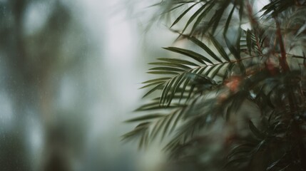 Close-up of Lush Green Leaves with Raindrops on a Foggy Day, Capturing Nature's Serenity and Beauty in a Soft, Dreamy Atmosphere