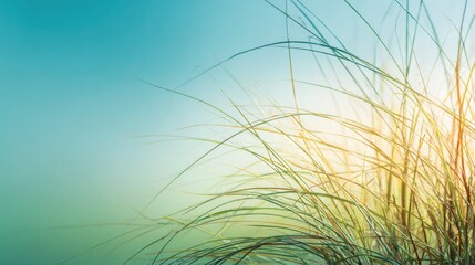 Delicate Green Grass Blades with Soft Light and Gentle Background Colors Creating a Calm and Serene Natural Atmosphere for Relaxation and Inspiration