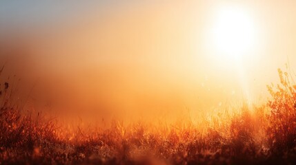 Golden Sunrise Over Fields with Warm Glow and Mist, Capturing Nature's Tranquility and Beauty in Early Morning Light