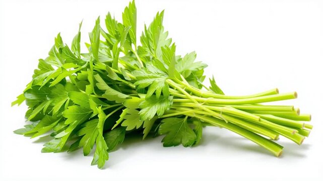 fresh lovage herb isolated