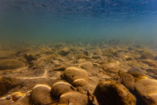 river Uzh underwater bottom in Uzhhorod, shallow murky aquascape, organic particle, alluvium sediment on pebble stone, sand substrate, surface reflection, light shadow play, algae oxygenate air bubble