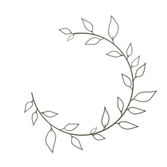 scribbled leaves with circular stems without background