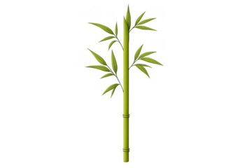 Green Bamboo Stalk with Leaves on transparent background illustration