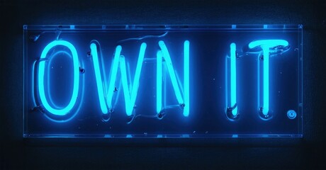 Bright blue neon sign displays text OWN IT. against dark background. Simple rectangular frame surrounds glowing letters. Motivational message.