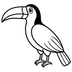 Toucan line art vector