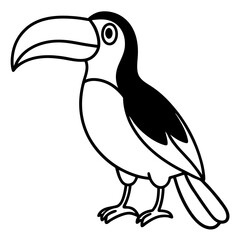 Toucan line art vector