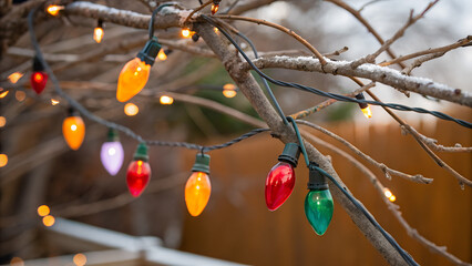 A vibrant winter christmas tree decorated with red berry clusters and blue balls hangs from a ripe green branch among autumn leaves and garden twigs during the festive season