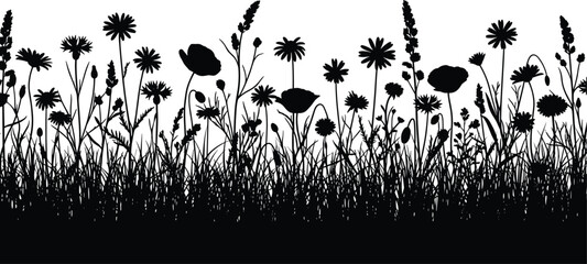 Wild flower and grass silhouette field border, nature meadow plants, summer garden vegetation, black botanical landscape, cad drawing flat vector illustration © MDMOHOBBAT