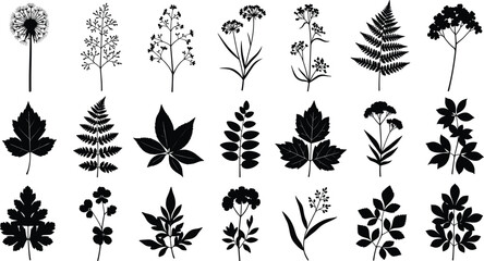 Plant leaves and flowers silhouettes set, wild nature herbs collection, botanical fern icons, forest vegetation, cad drawing flat vector illustration © MDMOHOBBAT