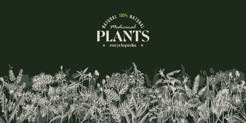 Healing herbs sketched seamless border