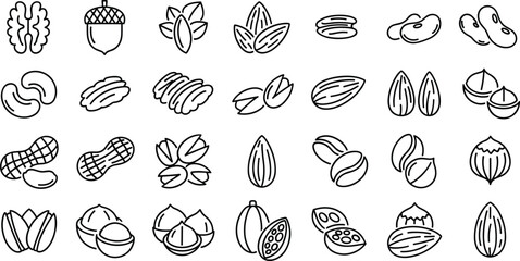 Complete outline icon set of various nuts and seeds featuring walnuts almonds pistachios peanuts hazelnuts cashews and coffee beans for healthy snack designs © Galib