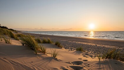 Tranquil Sunset Over a Sandy Beach with Grasses and Calm Ocean Waves in a Coastal Landscape