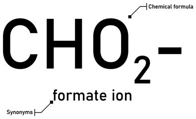 Formate&nbsp;ion chemical formula with callout titles