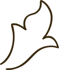 Elegant Outline Swirl Abstract Leaf Shape Isolated On White Background