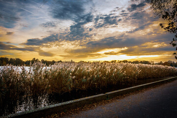 sunset over the river