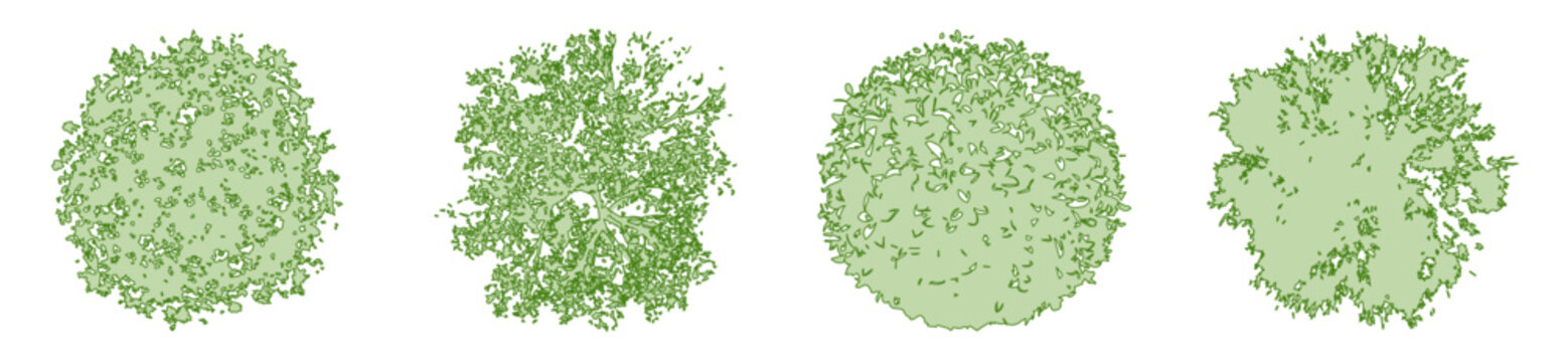 Tree Top View CAD Blocks, Green Canopy Vector Elements for Landscape Architecture