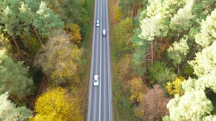 Cars riding along rural road surrounded by vibrant colorful autumn forest showcasing the beauty of nature. Aerial view of autos cruising along country route. Vehicles driving at beautiful fall season