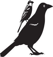 Silhouette of a Small Bird Perched on the Back of a Larger Bird on bird