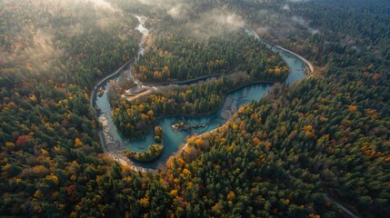 Aerial view of serene autumn forest and river