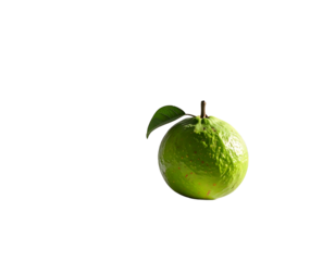 A single green guava fruit with a leaf against a stark black background