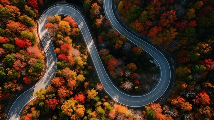 Aerial view of winding road through colorful autumn forest with vibrant red orange and yellow foliage