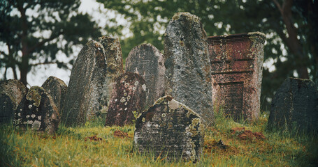 Old ancient Jewish cemetery in summer spring day. green grass an