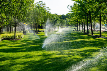 Obraz premium an automatic irrigation system watering a lush green garden. The scene is brightly lit by the sun, with water droplets visible in the air