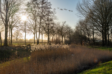 Die Mosse in Bocholt im Winter