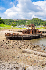 鼠島公園の銀杏丸の風景（長崎市）