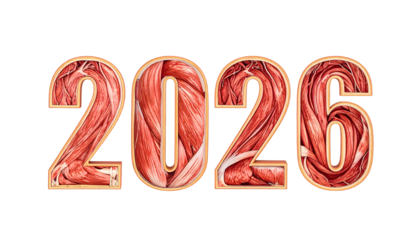Anatomical number 2026, muscle texture filling digits