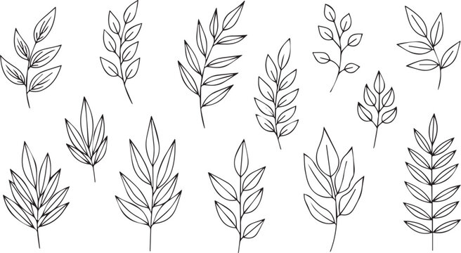 Collection of hand drawn line art leaves and botanical branch elements for minimalist floral patterns eco friendly branding and natural organic design