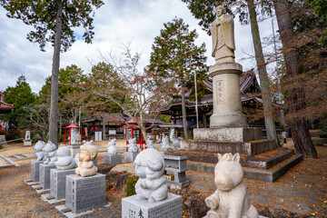 龍泉寺の日護聖人石像の風景