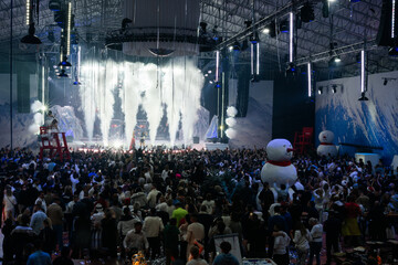 crowd of people dancing at concert, snowman, christmas, xmas, happy new year
