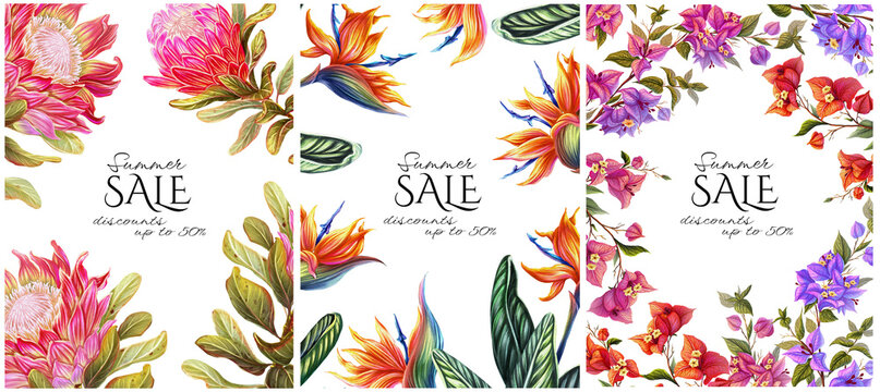 Set of 3 tropical frames with bougainvillea, strelitzia, and protea flowers. A collection of botanical templates with delicate branches of exotic plants. Floral decorations for cards and invitations