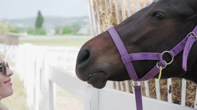 Young brunette woman in sunglasses gently strokes the muzzle of a calm brown horse over a white fence at a sunny country ranch, sharing a tender moment of connection