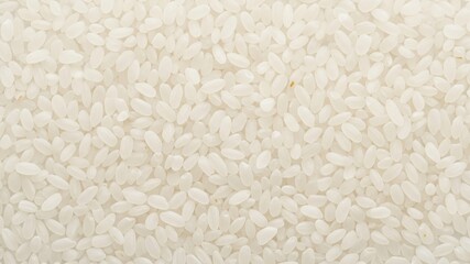 Close Up of Raw White Rice Grains Texture