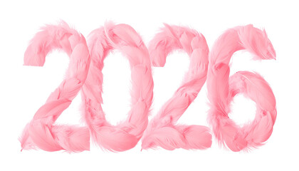 Pink fluffy feathers form the year 2026 against a black background