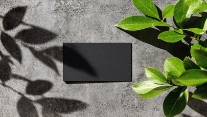 Black business card centered with lush green leaves and shadows on a gray textured surface