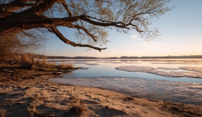Serene lakeside scene at dawn, with a tree reaching over a sandy beach