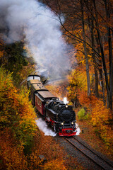 Brockenbahn in den herbstlichen W&auml;ldern im Harz