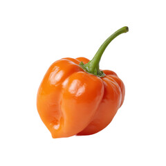Fresh Orange Habanero Pepper with Green Stem Isolated on Transparent Background