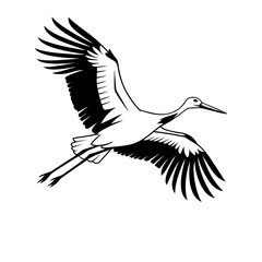 Fototapeta premium stork on white background