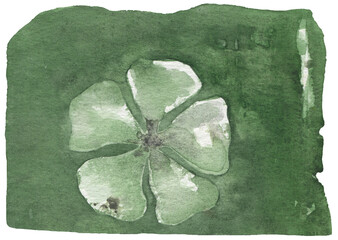 Watercolor Green Flower illustration