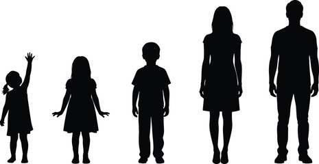Human growth stages silhouette illustration, child girl boy teen adult progression, family age development comparison isolated on white background © MstMinara