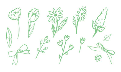 Green line art botanical set with tulips, daisies, lilac branch, bows and leaves. Hand drawn floral elements for wedding stationery, branding, packaging, prints, patterns and spring decor.