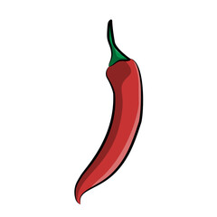Fresh Red Chili Pepper Spicy Vegetable Ingredient Vector Illustration